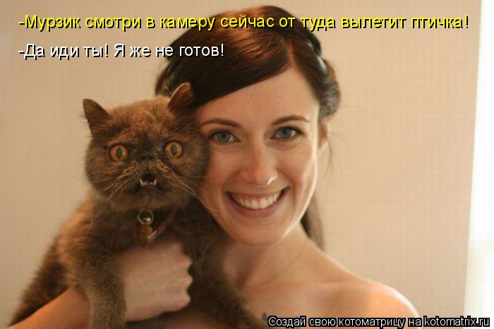 -Мурзик смотри в камеру сейчас от туда вылетит птичка! -Да иди ты! Я же не готов!... Котоматрица: -Мурзик смотри в камеру сейчас от туда вылетит птичка! -Да иди ты! Я же не готов!