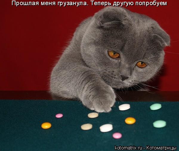 Прошлая меня грузанула. Теперь другую попробуем... Котоматрица: Прошлая меня грузанула. Теперь другую попробуем