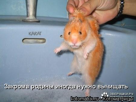 Закрома родины иногда нужно вычищать... Котоматрица: Закрома родины иногда нужно вычищать