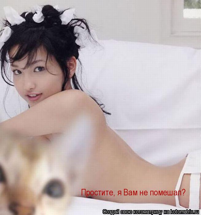 Простите, я Вам не помешал?... Котоматрица: Простите, я Вам не помешал?