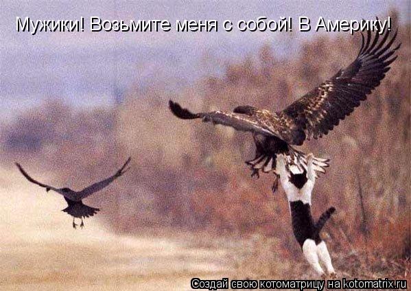 Мужики! Возьмите меня с собой! В Америку!... Котоматрица: Мужики! Возьмите меня с собой! В Америку!