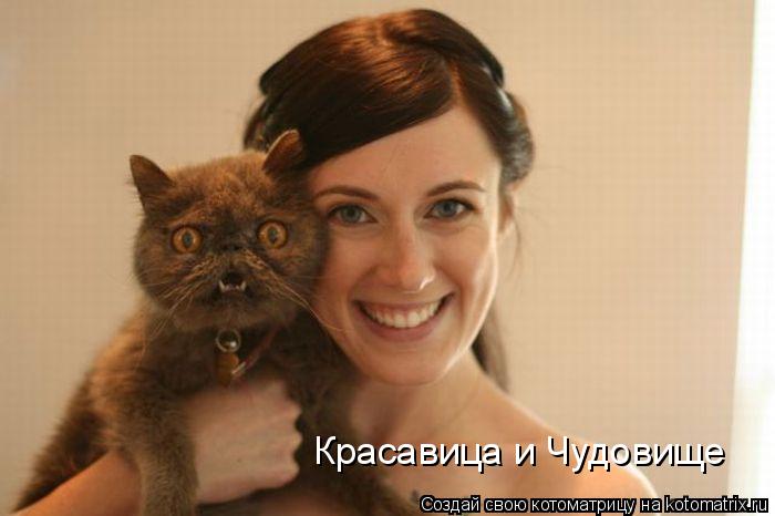 Красавица и Чудовище... Котоматрица: Красавица и Чудовище