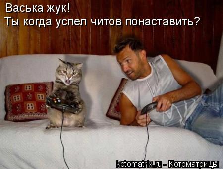Васька жук! Ты когда успел читов понаставить?... Котоматрица: Васька жук! Ты когда успел читов понаставить?