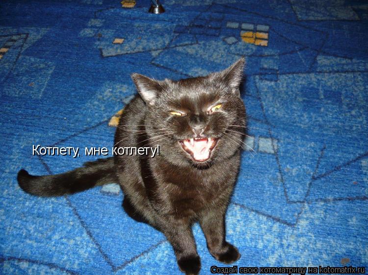 Котлету, мне котлету!... Котоматрица: Котлету, мне котлету!