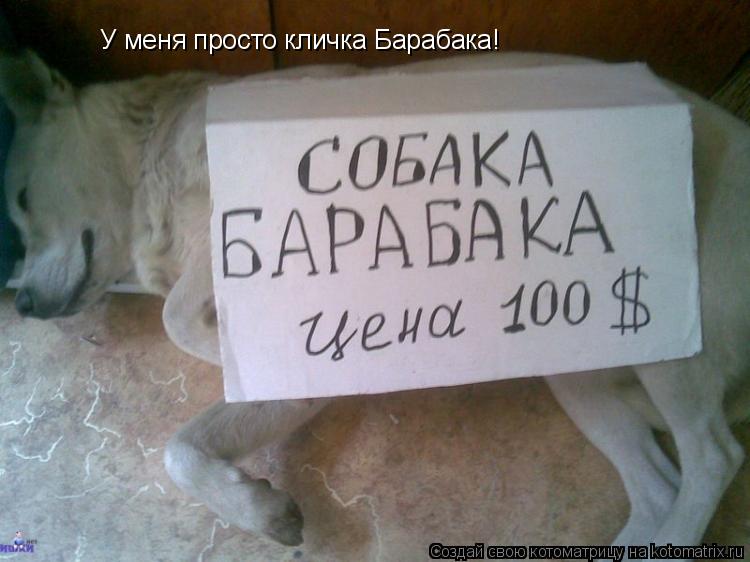 У меня просто кличка Барабака!... Котоматрица: У меня просто кличка Барабака!