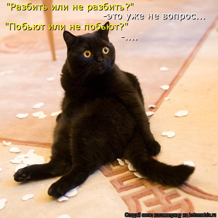 "Разбить или не разбить?" -это уже не вопрос... "Побьют или не побьют?" -....... Котоматрица: "Разбить или не разбить?" -это уже не вопрос... "Побьют или не побьют?" -....