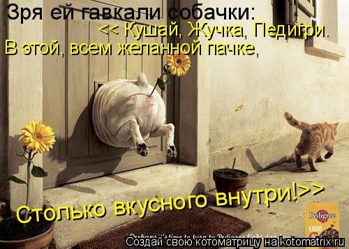 Зря ей гавкали собачки: << Кушай, Жучка, Педигри. В этой, всем желанной пачке, Столько вкусного внут... Котоматрица: Зря ей гавкали собачки: << Кушай, Жучка, Педигри. В этой, всем желанной пачке, Столько вкусного внутри!>>