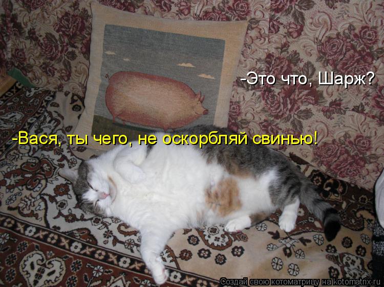 -Это что, Шарж? -Вася, ты чего, не оскорбляй свинью!... Котоматрица: -Это что, Шарж? -Вася, ты чего, не оскорбляй свинью!