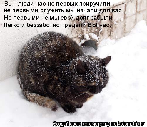 Вы - люди нас не первых приручили, не первыми служить мы начали для вас. Но первыми не мы свой долг з... Котоматрица: Вы - люди нас не первых приручили, не первыми служить мы начали для вас. Но первыми не мы свой долг забыли, Легко и беззаботно предали ВЫ нас.