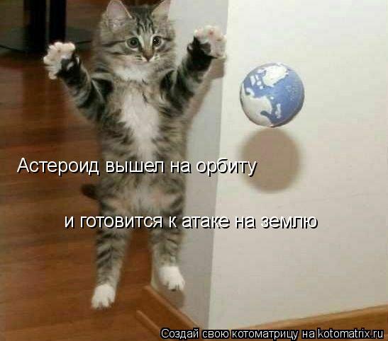 Астероид вышел на орбиту и готовится к атаке на землю... Котоматрица: Астероид вышел на орбиту и готовится к атаке на землю