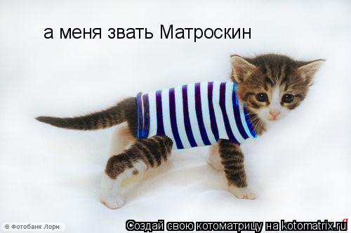 а меня звать Матроскин... Котоматрица: а меня звать Матроскин