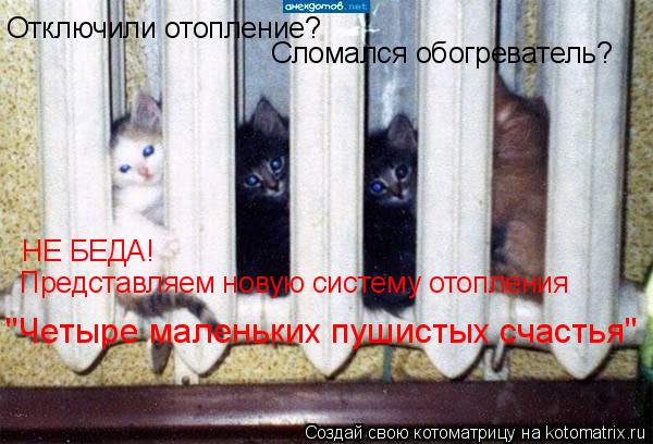Отключили отопление? Сломался обогреватель? НЕ БЕДА! Представляем новую систему отопления "Четыре мал... Котоматрица: Отключили отопление? Сломался обогреватель? НЕ БЕДА! Представляем новую систему отопления "Четыре маленьких пушистых счастья"