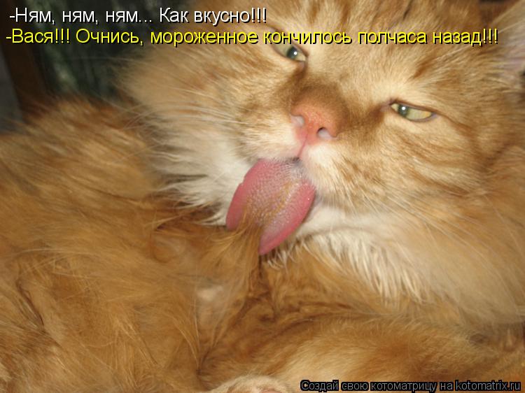 -Ням, ням, ням... Как вкусно!!! -Вася!!! Очнись, мороженное кончилось полчаса назад!!!... Котоматрица: -Ням, ням, ням... Как вкусно!!! -Вася!!! Очнись, мороженное кончилось полчаса назад!!!
