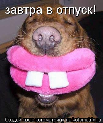 завтра в отпуск!... Котоматрица: завтра в отпуск!