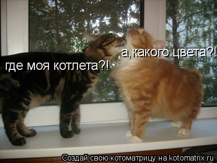 где моя котлета?! а,какого цвета?!... Котоматрица: где моя котлета?! а,какого цвета?!
