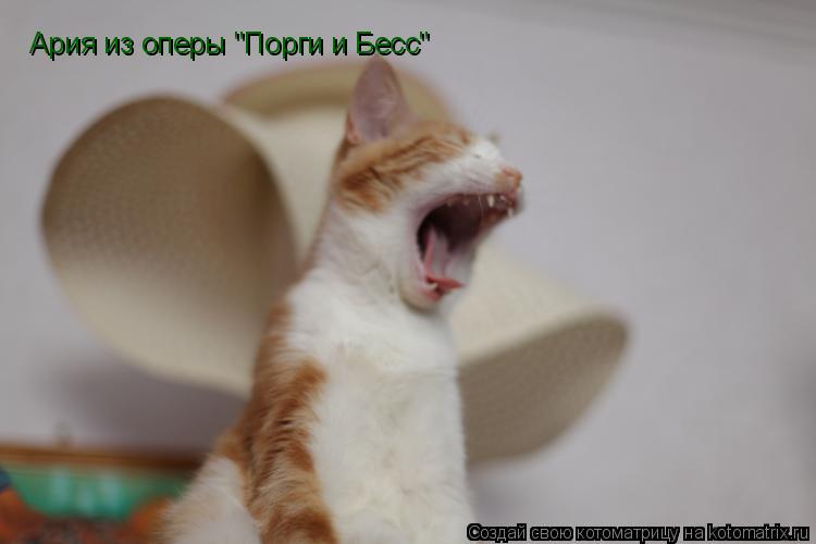 Ария из оперы "Порги и Бесс"... Котоматрица: Ария из оперы "Порги и Бесс"
