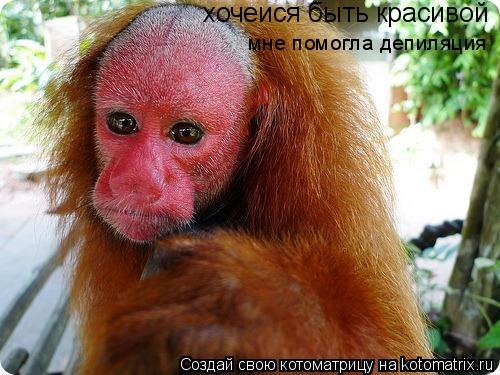 хочеися быть красивой мне помогла депиляция... Котоматрица: хочеися быть красивой мне помогла депиляция