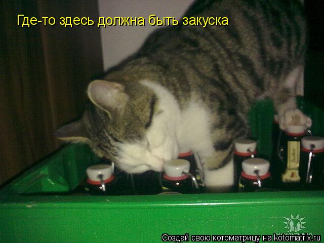 Где-то здесь должна быть закуска... Котоматрица: Где-то здесь должна быть закуска