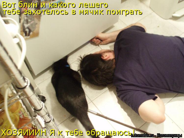 Вот блин и какого лешего тебе захотелось в мячик поиграть ХОЗЯИИИН Я к тебе обращаюсь!... Котоматрица: Вот блин и какого лешего тебе захотелось в мячик поиграть ХОЗЯИИИН Я к тебе обращаюсь!