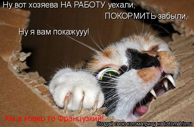 Ну вот хозяева НА РАБОТУ уехали, ПОКОРМИТЬ забыли, Ну я вам покажууу! Хм а ковер то Французкий!... Котоматрица: Ну вот хозяева НА РАБОТУ уехали, ПОКОРМИТЬ забыли, Ну я вам покажууу! Хм а ковер то Французкий!