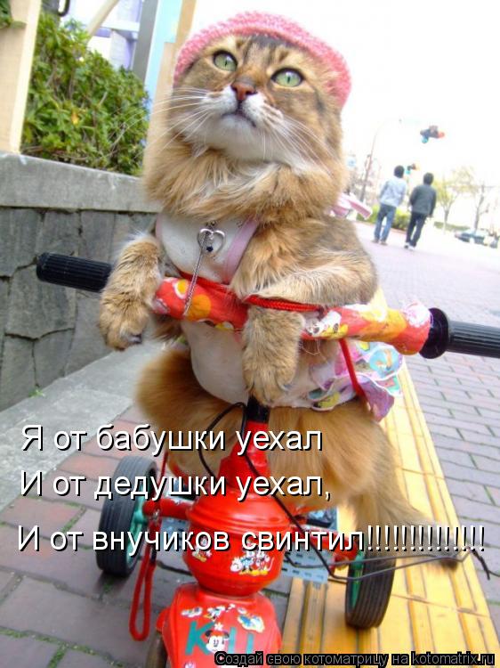 Я от бабушки уехал И от дедушки уехал, И от внучиков свинтил!!!!!!!!!!!!!!... Котоматрица: Я от бабушки уехал И от дедушки уехал, И от внучиков свинтил!!!!!!!!!!!!!!