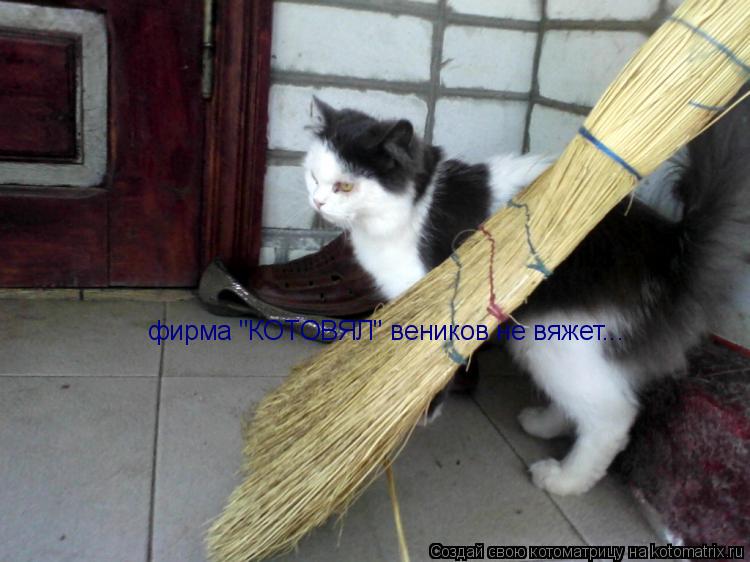 фирма "КОТОВЯЛ" веников не вяжет...... Котоматрица: фирма "КОТОВЯЛ" веников не вяжет...