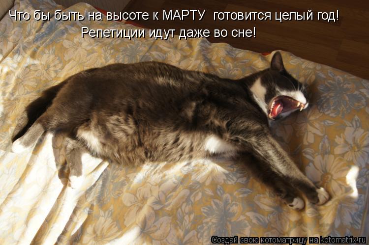 Что бы быть на высоте к МАРТУ готовится целый год! Репетиции идут даже во сне!... Котоматрица: Что бы быть на высоте к МАРТУ готовится целый год! Репетиции идут даже во сне!
