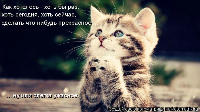 Как хотелось - хоть бы раз, хоть сегодня, хоть сейчас, сделать что-нибудь прекрасное ... ... ну или... Котоматрица: Как хотелось - хоть бы раз, хоть сегодня, хоть сейчас, сделать что-нибудь прекрасное ... ... ну или слегка ужасное.