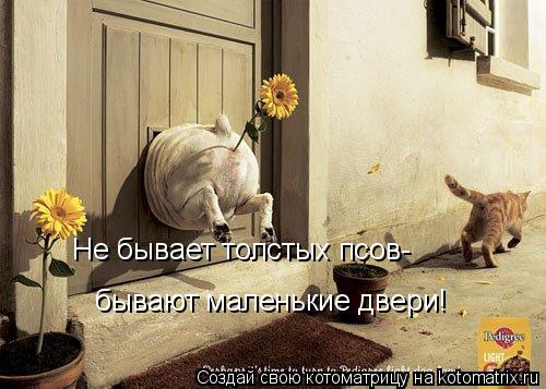 Не бывает толстых псов- бывают маленькие двери!... Котоматрица: Не бывает толстых псов- бывают маленькие двери!