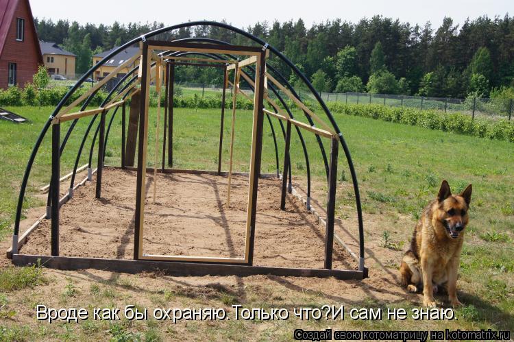 Вроде как бы охраняю.Только что?И сам не знаю.... Котоматрица: Вроде как бы охраняю.Только что?И сам не знаю.