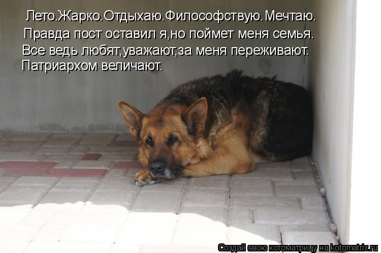 Лето.Жарко.Отдыхаю.Философствую.Мечтаю. Правда пост оставил я,но поймет меня семья. Все ведь любят,ув... Котоматрица: Лето.Жарко.Отдыхаю.Философствую.Мечтаю. Правда пост оставил я,но поймет меня семья. Все ведь любят,уважают,за меня переживают. Патриархом в