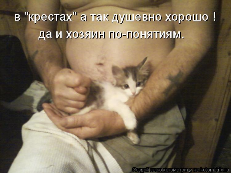 Котоматрица: в "крестах" а так душевно хорошо ! да и хозяин по-понятиям.