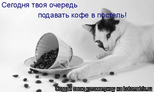 Котоматрица: Сегодня твоя очередь  подавать кофе в постель!