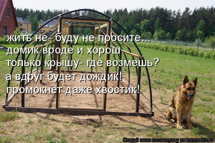 Котоматрица: домик вроде и хорош только крышу- где возмешь? а вдруг будет дождик! промокнет даже хвостик! жить не- буду не просите...