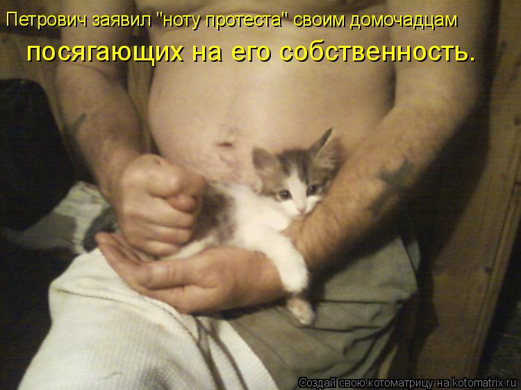 Котоматрица: Петрович заявил "ноту протеста" своим домочадцам посягающих на его собственность.