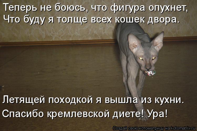 Котоматрица: Спасибо кремлевской диете! Ура! Теперь не боюсь, что фигура опухнет,  Что буду я толще всех кошек двора. Летящей походкой я вышла из кухни.