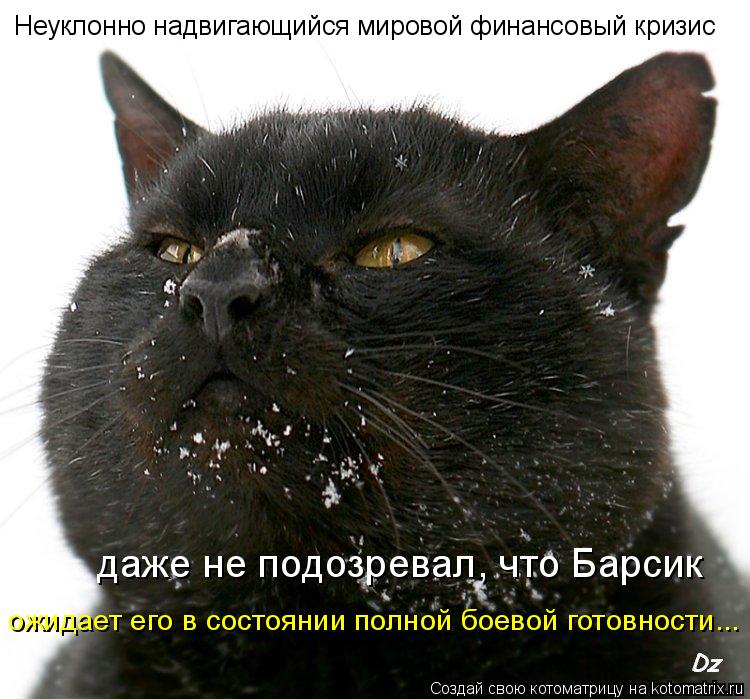 Котоматрица: Неуклонно надвигающийся мировой финансовый кризис даже не подозревал, что Барсик ожидает его в состоянии полной боевой готовности...