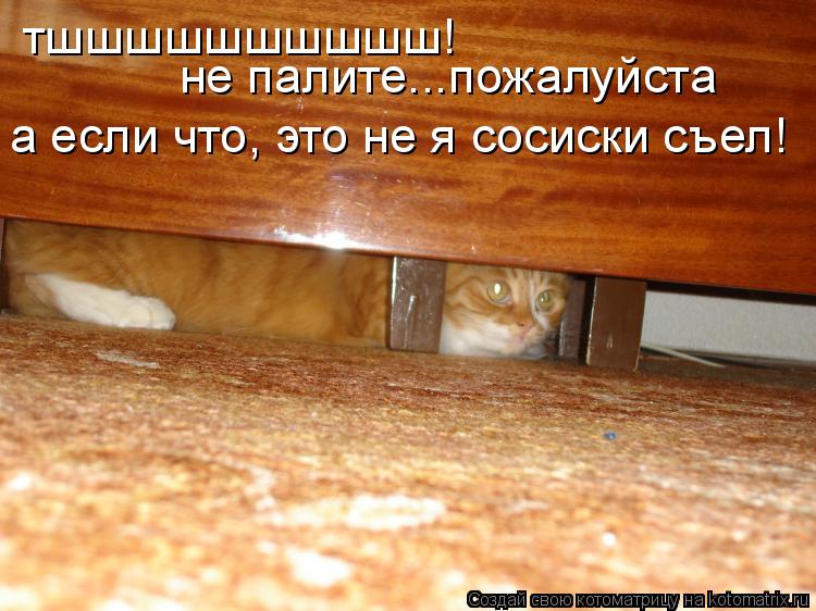 Котоматрица: тшшшшшшшшшш! не палите...пожалуйста а если что, это не я сосиски съел!