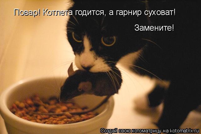 Котоматрица: Повар! Котлета годится, а гарнир суховат!  Замените!