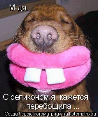 Котоматрица: М-дя....  С селиконом я, кажется,  перебощила ...