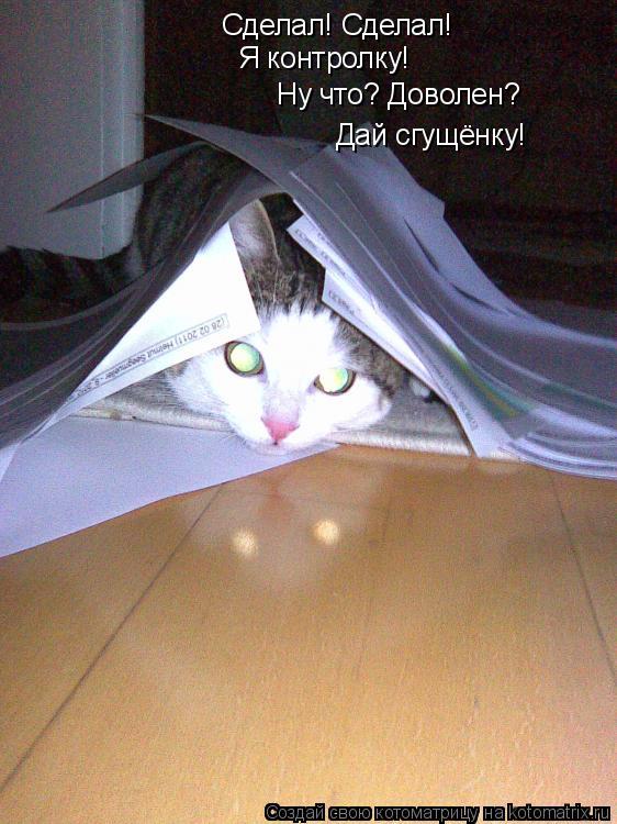 Сделал! Сделал! Я контролку! Ну что? Доволен? Дай сгущёнку!... Котоматрица: Сделал! Сделал! Я контролку! Ну что? Доволен? Дай сгущёнку!