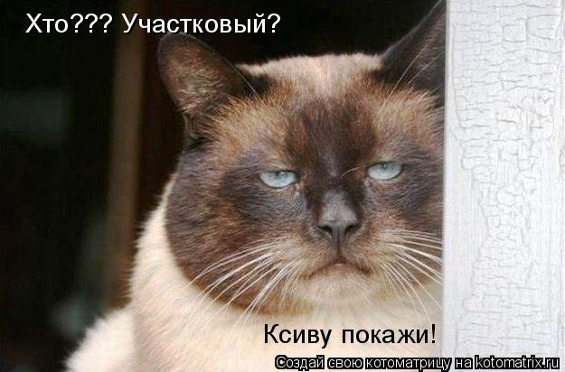 Ксиву покажи! Хто??? Участковый?... Котоматрица: Ксиву покажи! Хто??? Участковый?