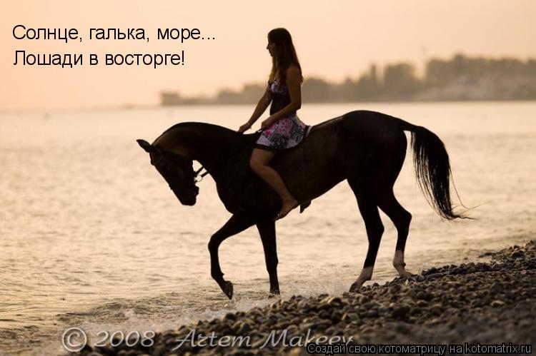 Котоматрица: Солнце, галька, море... Лошади в восторге!