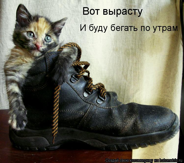 Вот вырасту И буду бегать по утрам... Котоматрица: Вот вырасту И буду бегать по утрам