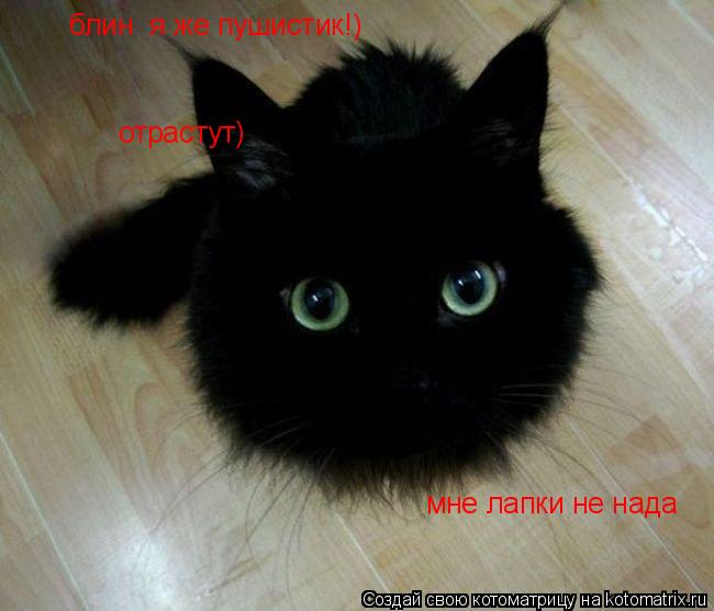 Котоматрица: блин  я же пушистик!) мне лапки не нада отрастут)