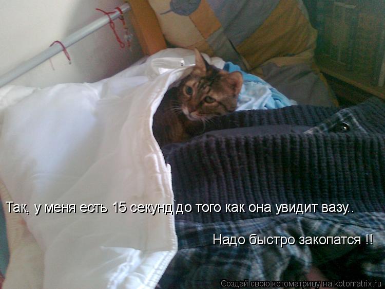 Котоматрица: Так, у меня есть 15 секунд до того как она увидит вазу.. Так, у меня есть 15 секунд до того как она увидит вазу.. Надо быстро закопатся !!