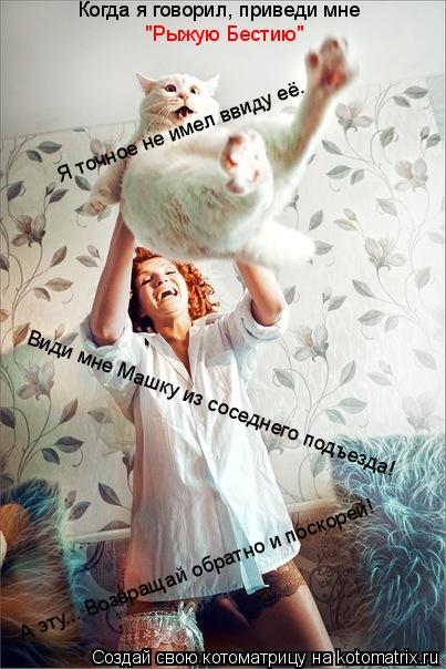 Котоматрица: Когда я говорил, приведи мне "Рыжую Бестию" Я точное не имел ввиду её. Види мне Машку из соседнего подъезда! А эту... Возвращай обратно и поско