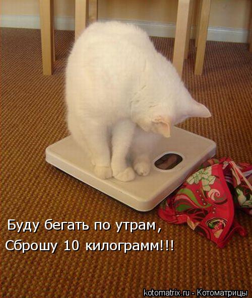 Котоматрица: Буду бегать по утрам  , Сброшу 10 килограмм!!!