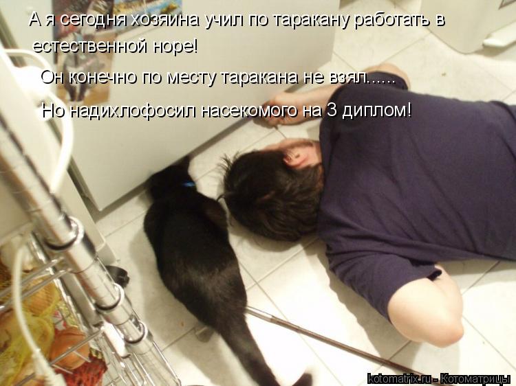 Котоматрица: А я сегодня хозяина учил по таракану работать в  естественной норе! Он конечно по месту таракана не взял...... Но надихлофосил насекомого на 3 