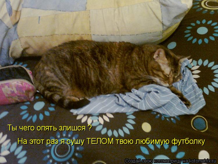 Котоматрица: Ты чего опять злишся ? На этот раз я сушу ТЕЛОМ твою любимую футболку